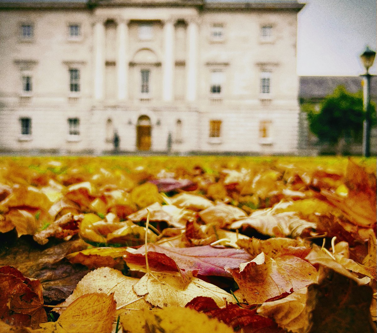 AnalysisGaa's tweet photo. Preparations are underway at the @LawSocIreland for @FocusIreland #ShineALightNight
We canβt promise warmth or protection from wind and rain. But we hope the small gesture of doing for one night what many people have to do every night will raise awareness #RoughSleep https://t.co/nXrZwo8wgH
