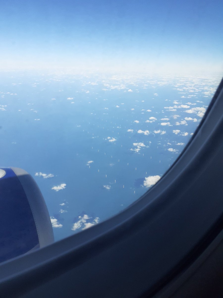 Polly Martin tweet media