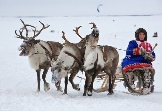 Re: [情報] 俄國動員兵相關情報數則