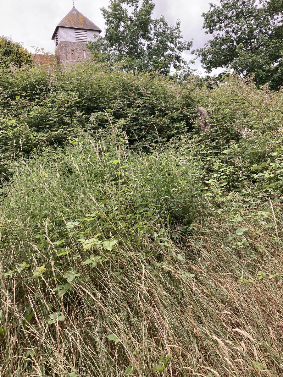 KSS_PC_Maid_TW's tweet photo. Slowly coming together uncovering some long hidden graves. Sunday #Maidstone @KSSPS_CP Team doing some great work in partnership with #MardenTaskForce. #communitypayback #probationworks https://t.co/ctuUpMQljo