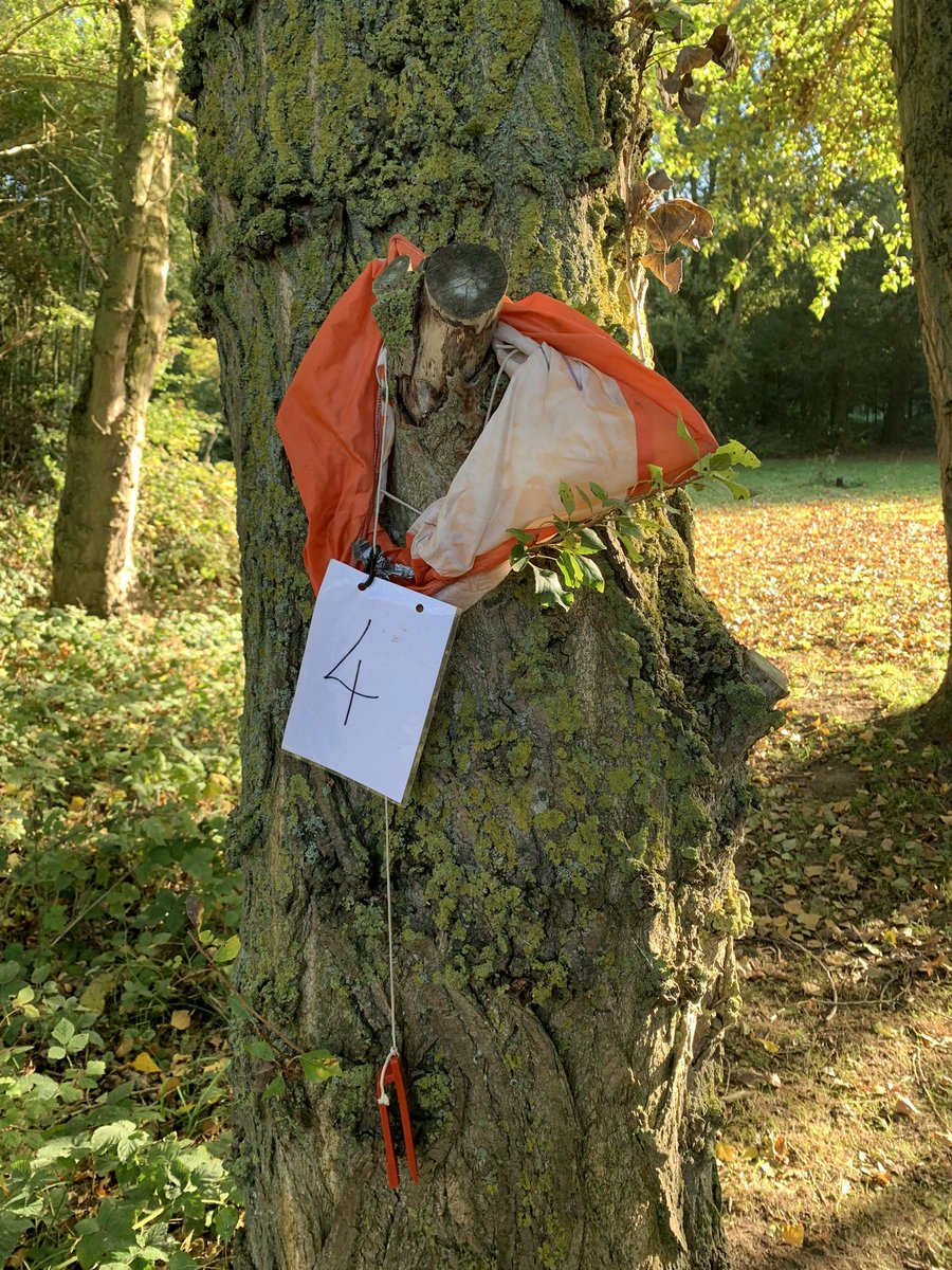 Boston School Sport (@bostonssp) on Twitter photo We are all ready for our last Orienteering session until next year ! Busy day with lots of schools today. @EmmausFed <a href="/Bostonstmarys/">Saint Mary’s RC Primary, Boston</a> <a href="/FVandNY/">Frithville & New York Primary Schools</a> We are all ready for our last Orienteering session until next year ! Busy day with lots of schools today. @EmmausFed <a href="/Bostonstmarys/">Saint Mary’s RC Primary, Boston</a> <a href="/FVandNY/">Frithville & New York Primary Schools</a>