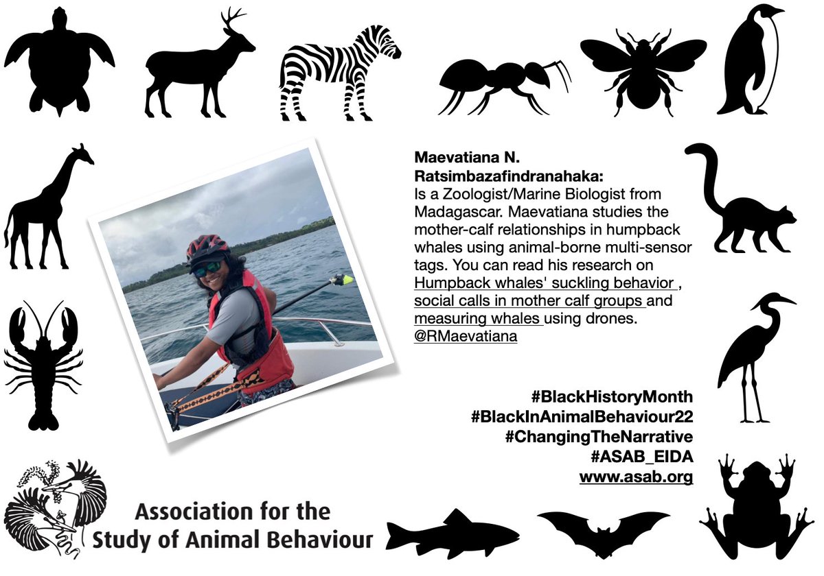asab_org's tweet photo. This is @RMaevatiana you can read his research here: https://t.co/mRlnooUQIU We are supporting #BlackHistoryMonth by #ChangingTheNarrative  #ASAB_EIDA #BlackInAnimalBehaviour22 https://t.co/EzETLmZOEE