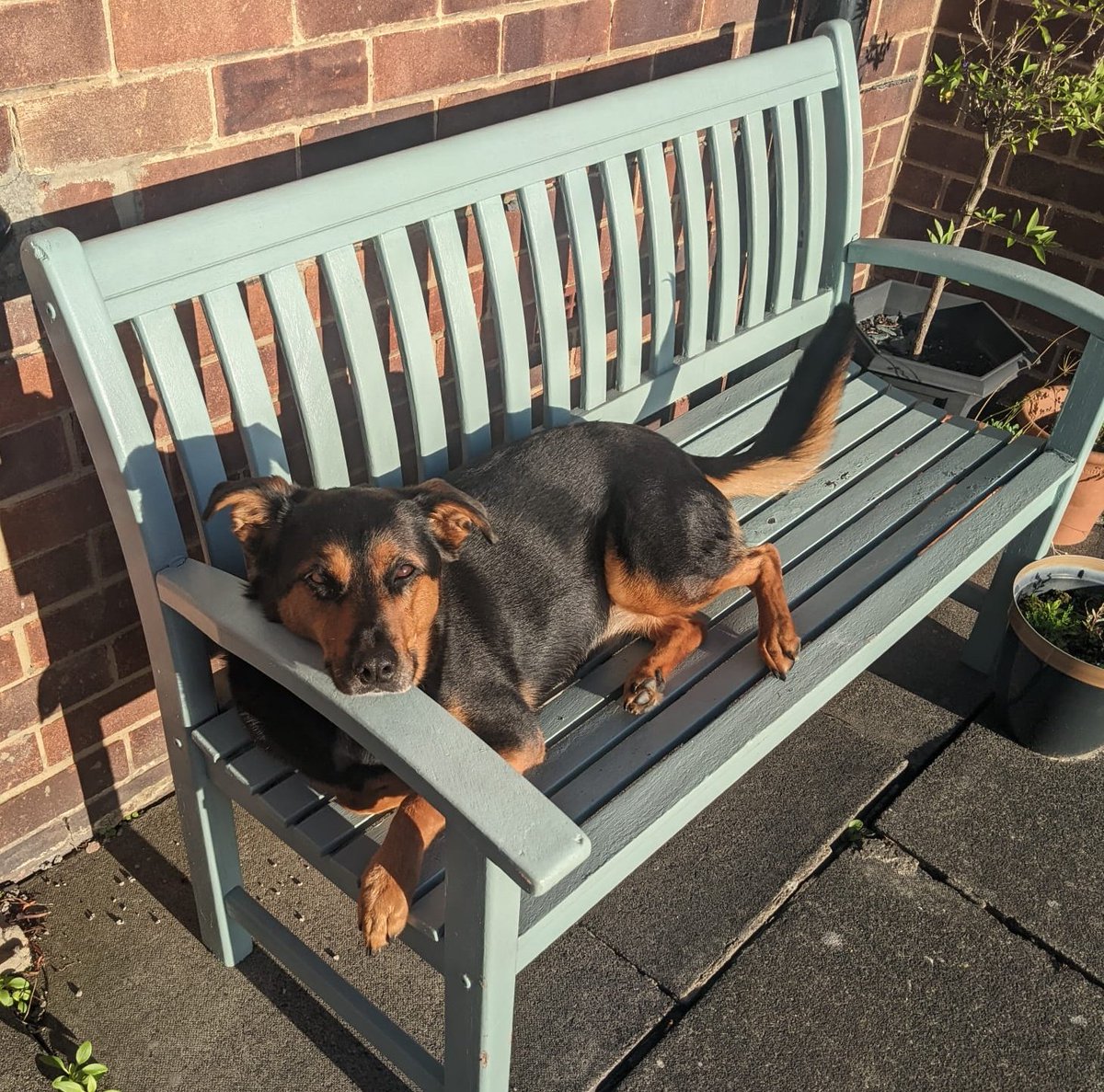 It's a hard life...