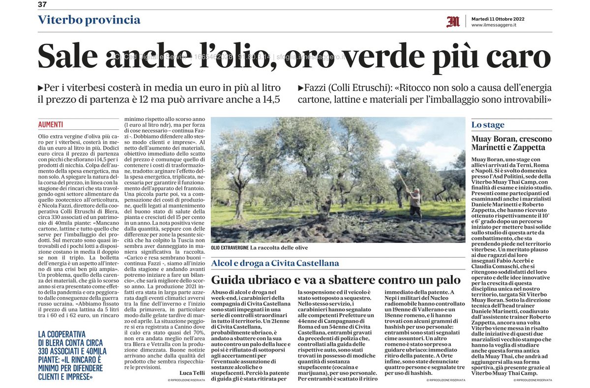 collietruschi's tweet photo. Il direttore Nicola Fazzi parla delle impressioni positive di queste prime settimane di raccolta.
Non mancano le difficoltà legate all’aumento dei costi di produzione, spiega, dipesi non solo dal #rincaroenergetico, ma anche della scarsità dei materiali di imballaggio. https://t.co/cMZBVAdMBB