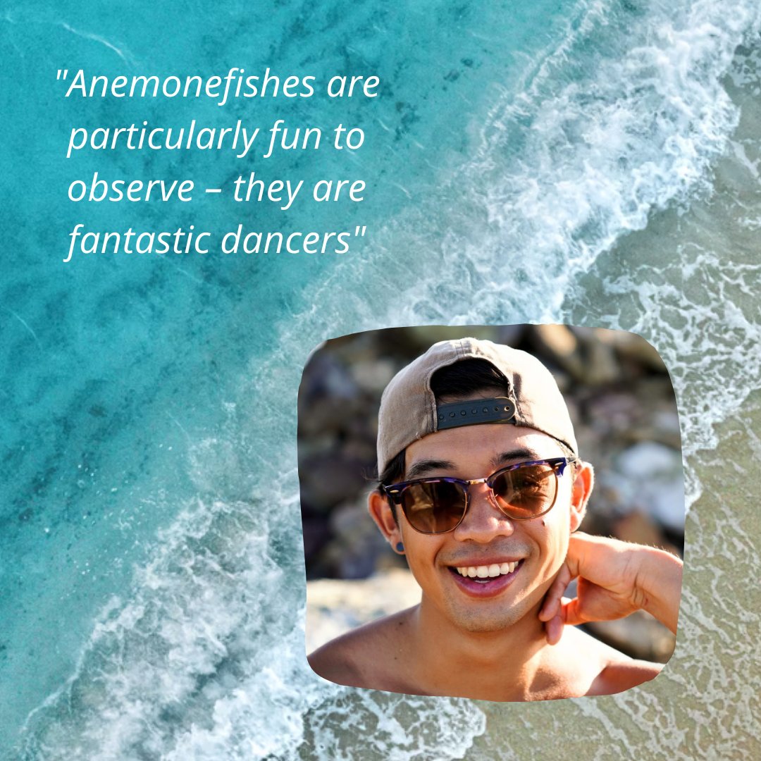 Introducing Carl Santiago (PhD student), our Technical Officer for the Nemo Hotel project. Here’s what you need to know about Carl!