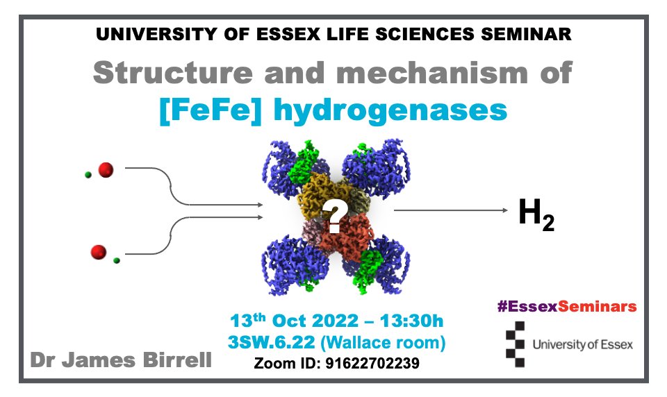 Take 2: Join us on Thursday for a hybrid Seminar at 13:30 GMT  @Uni_of_Essex @EssexLifeSci

(note unusual time/room!)

Dr @JamesBirrell86 will talk about FeFe dehydrogenases & proton oxidation-based metabolism.

essex.ac.uk/events/2022/10…

Zoom:
essex-university.zoom.us/j/91622702239