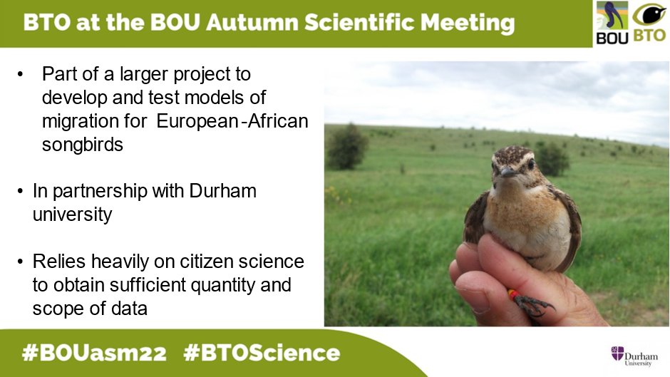 JenniBorder's tweet photo. 1/6 #BOUasm22 #SESH 3 Here I'm using #EuroBirdPortal data (https://t.co/FpgoT97e59) to determine start and end dates of spring  💐  and autumn  🍂 migration for 30 European-African migrant 🐦. #BTOScience @EBCC https://t.co/67bbyB1V5a