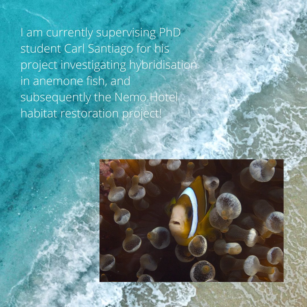 Meet the team! Introducing Associate Professor Karen Cheney, who is one of the Project Leaders for the Nemo Hotel Project.