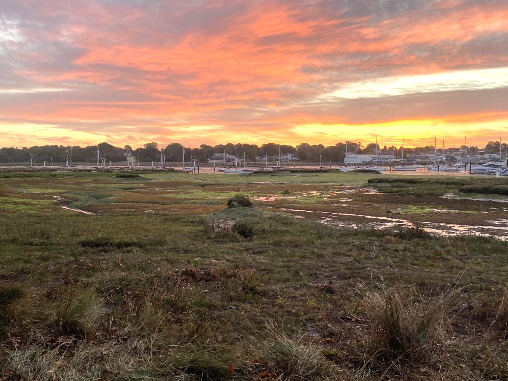 Agility Agriculture (@agility_ag) on Twitter photo There is something quite special about the first frost of the year. It didn't last long but it was a moment to be enjoyed as we were out walking a #MileforMentalWellBeing on this beautiful autumn morning. <a href="/AgMentalHealth/">AgMentalHealthWeek</a> #autumn There is something quite special about the first frost of the year. It didn't last long but it was a moment to be enjoyed as we were out walking a #MileforMentalWellBeing on this beautiful autumn morning. <a href="/AgMentalHealth/">AgMentalHealthWeek</a> #autumn