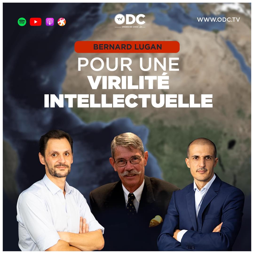 RDV ce soir 19h pour un entretien sans concession avec Bernard Lugan, Rachid Achachi et Azddin Amdaa!
Sur odc.tv