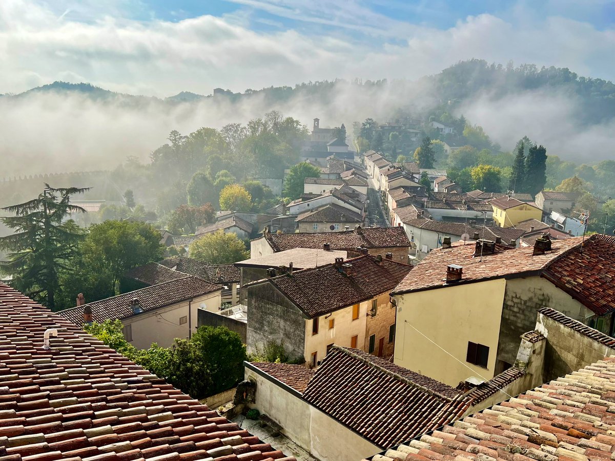 velvetescape's tweet image. Morning mist in the hills of Monferrato. #visitpiemonte #viaggioitaliano