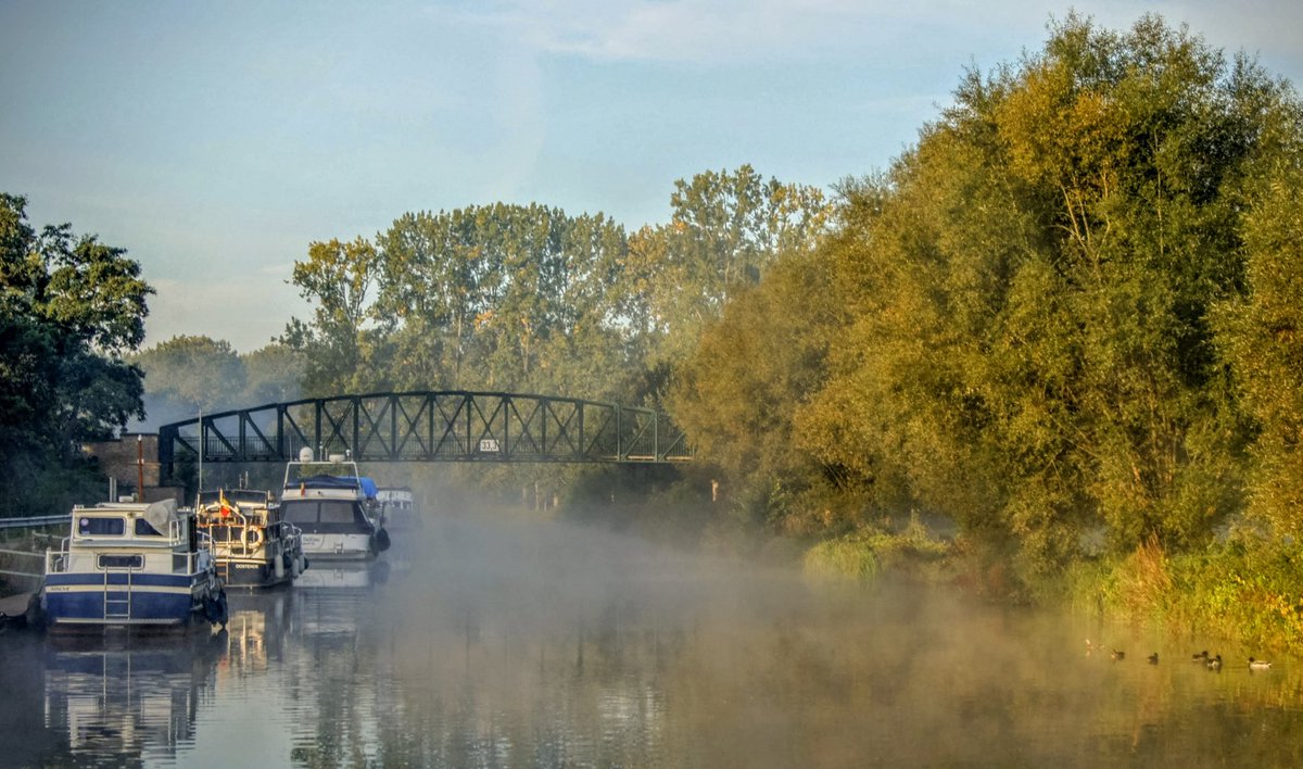 David V.D Smissen tweet media