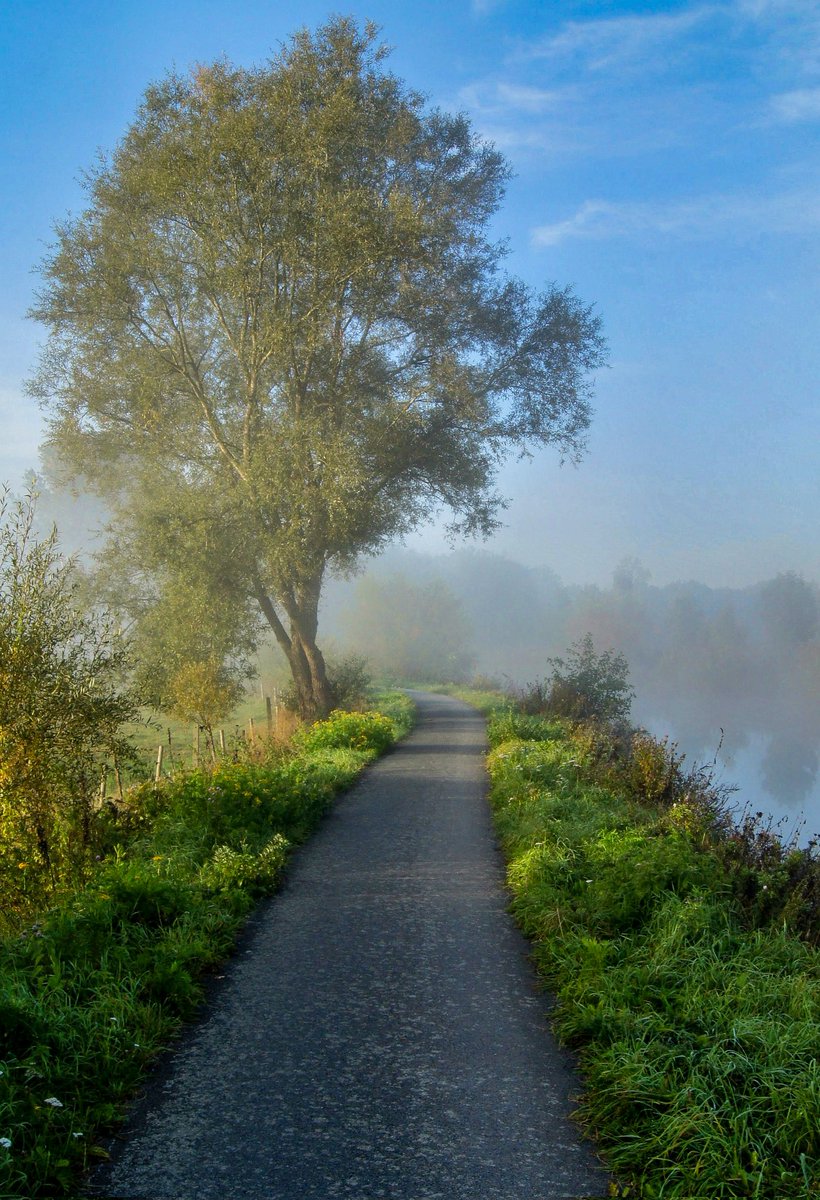 David V.D Smissen tweet media