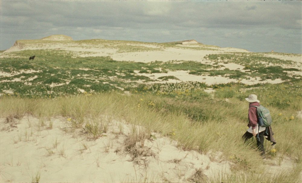 FILMDIENST (@filmdienst) on Twitter photo Der von uns im Rahmen des <a href="/BerlinaleForum/">Berlinale Forum | Expanded</a> mitgekürte Preisträger des Caligari-Filmpreises geht auf Kino-Tournee! "Geographies of Solitude" reist ab 20.10. durch die kommunalen Kinos. Hier die Termine: arsenal-berlin.de/archiv-distrib… <a href="/KommunaleKinos/">Bundesverband kommunale Filmarbeit e.V. - BkF</a> Der von uns im Rahmen des <a href="/BerlinaleForum/">Berlinale Forum | Expanded</a> mitgekürte Preisträger des Caligari-Filmpreises geht auf Kino-Tournee! "Geographies of Solitude" reist ab 20.10. durch die kommunalen Kinos. Hier die Termine: arsenal-berlin.de/archiv-distrib… <a href="/KommunaleKinos/">Bundesverband kommunale Filmarbeit e.V. - BkF</a>