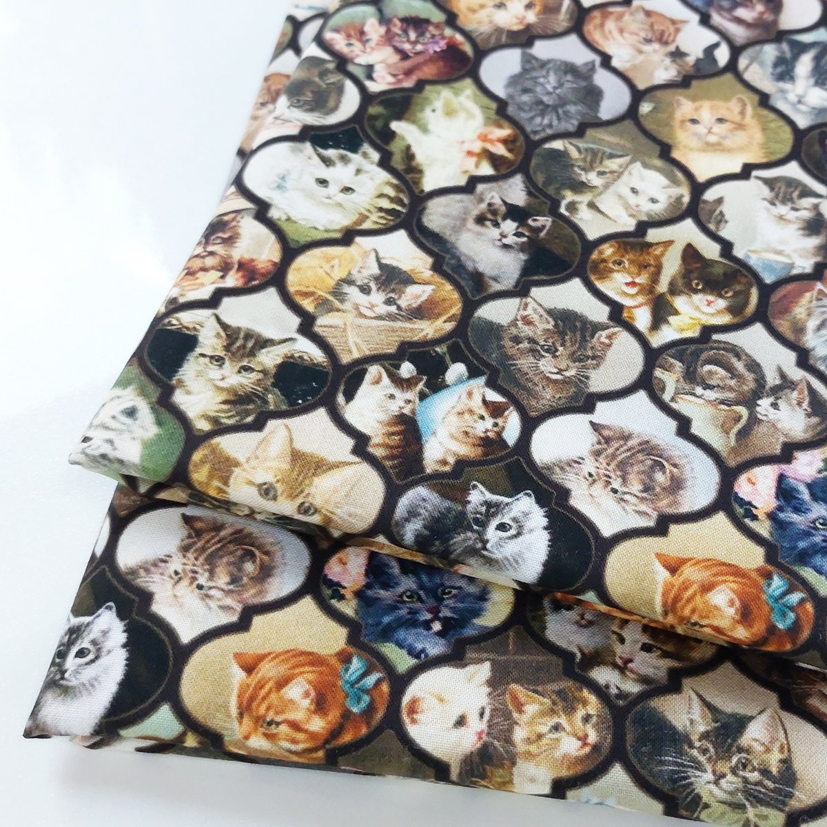 RealfabricJP's tweet photo. ただ今「猫柄の生地30％OFFセール」実施中！
リアルファブリックの一番人気はもちろんネコ柄🐱

デザイン数が多いので、猫の種類やお気に入りのデザイナー名でご検索ください😊

▼割引対象デザインはこちら
https://t.co/PGJFJcWG7g

★画像：シーチング/No.9763/Duchess　ayaka様(@Duchessayaka) https://t.co/jCl9NmwvMU