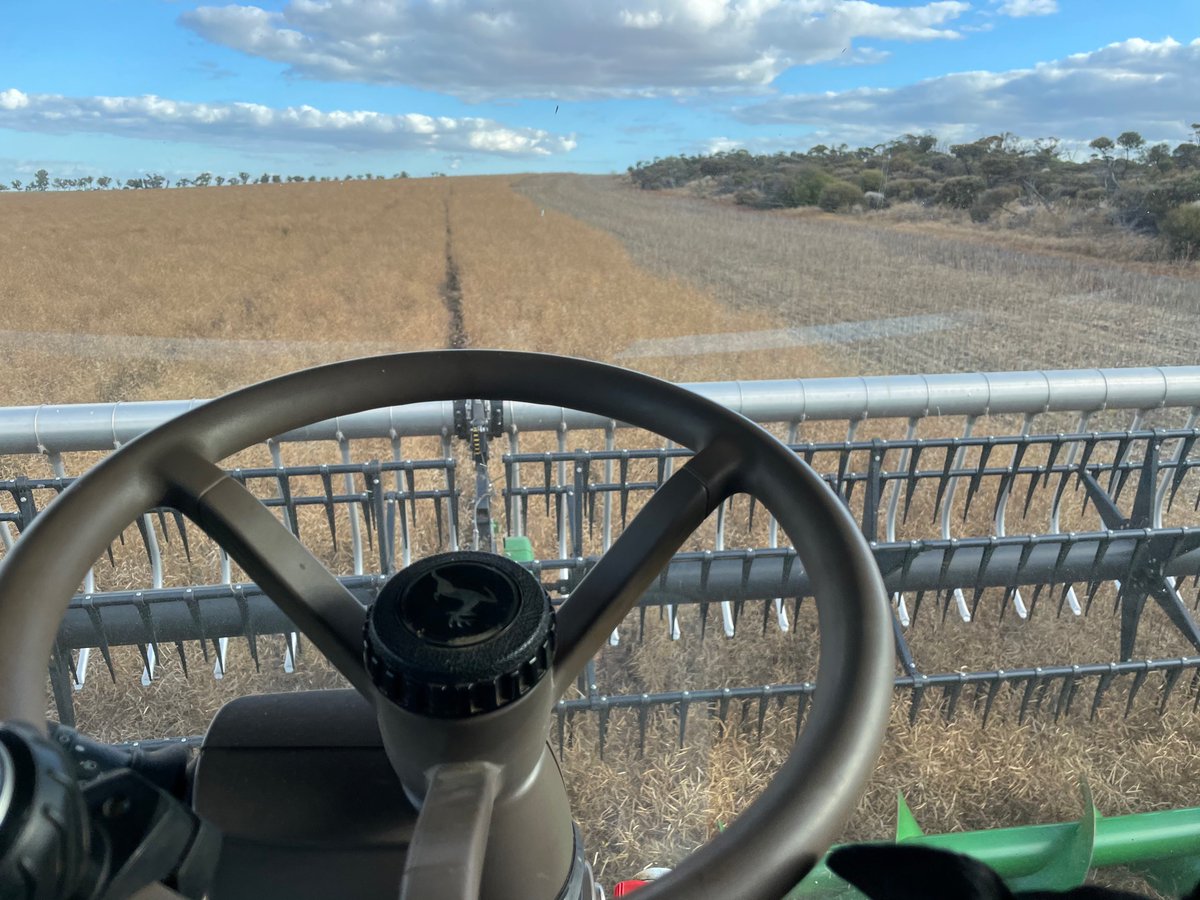 Scott Bowman tweet media