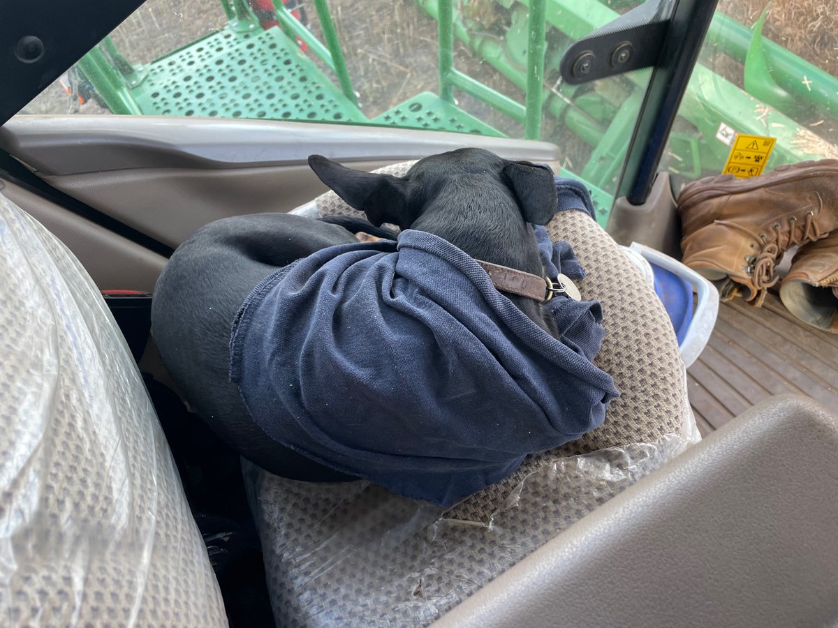 Scott Bowman tweet media