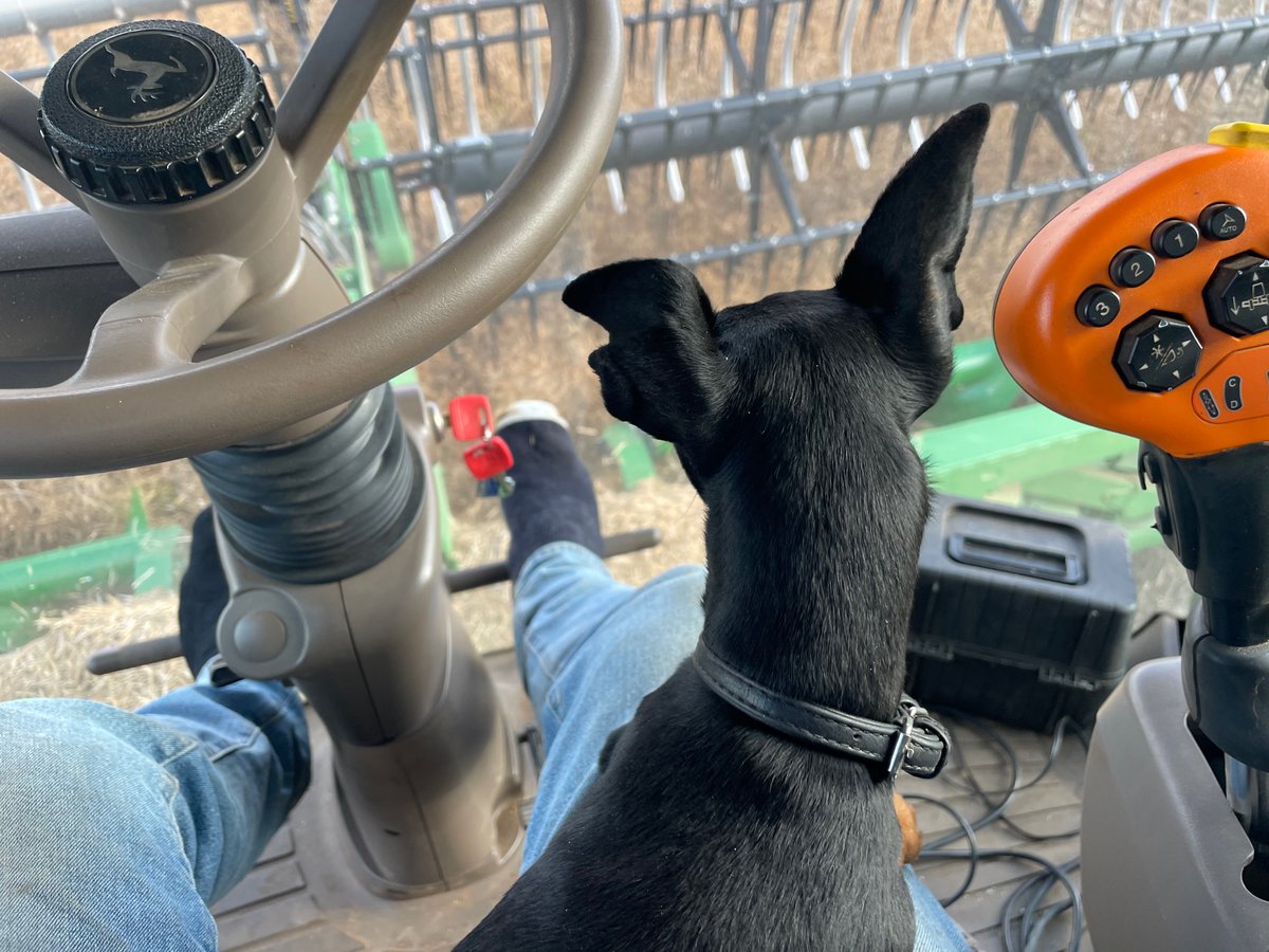 Scott Bowman tweet media