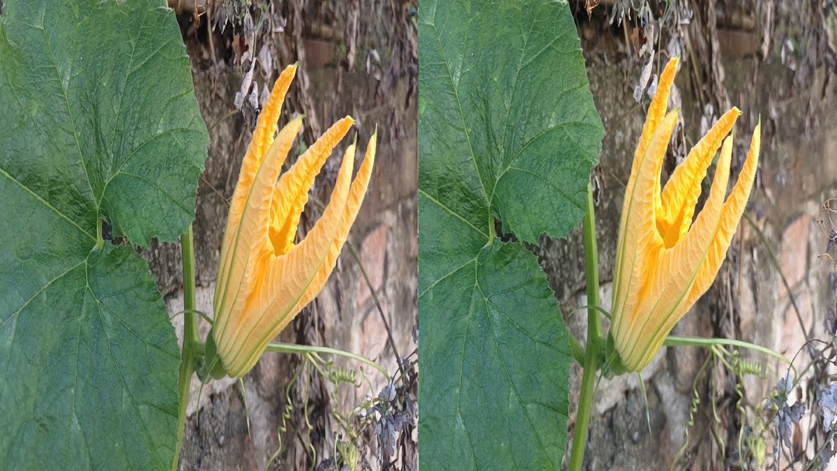 JoeYu65572933's tweet photo. Road side in Belgrade. Photo by new 3D phone 5G! If you come to Stereopsia, Oct. 17 - 19, Brussels, Belgium, you can try it on spot! Find more info of the exhibition at: https://t.co/DofALJwDMN https://t.co/Re3vkIH7wJ https://t.co/7QNvsmfGHM
