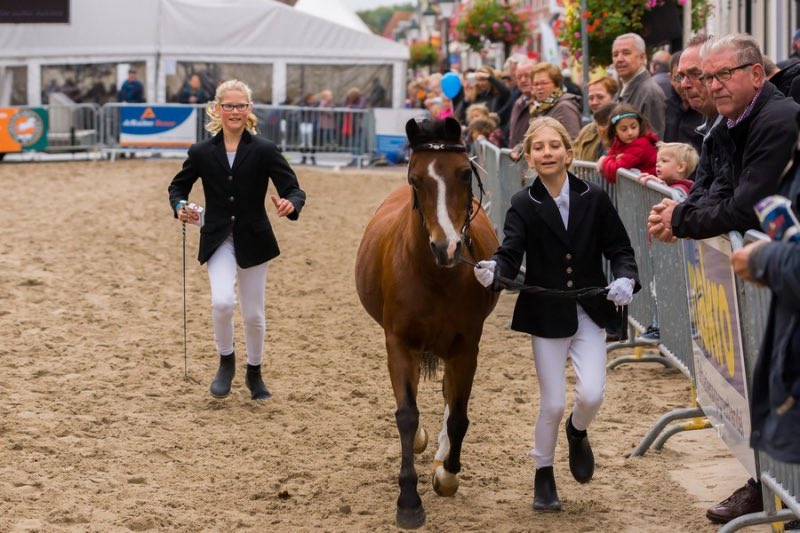 De conceptkeuringslijst staat online. Vanavond volgt de definitieve versie!
paardenmarktvianen.nl/portfolios/keu…