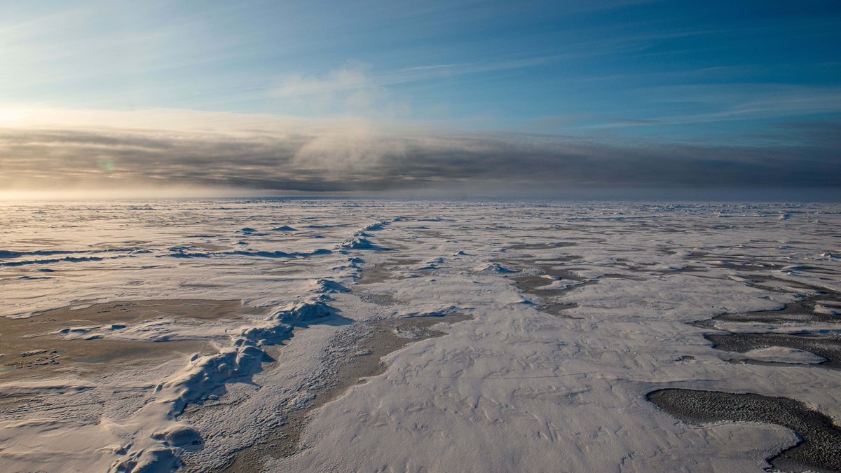 Nansensenteret's tweet photo. ‼️ One of the world's most advanced sea-ice models is #neXtSIM, co-developed at the Nansen Center. Do you want to know why it's so good at its job? 
👉 https://t.co/cRojUSzjdG 
📸 Espen Storheim/Nansen Center
@nansenlegacy @BjerknesBCCR https://t.co/b5VnZ4FcUP