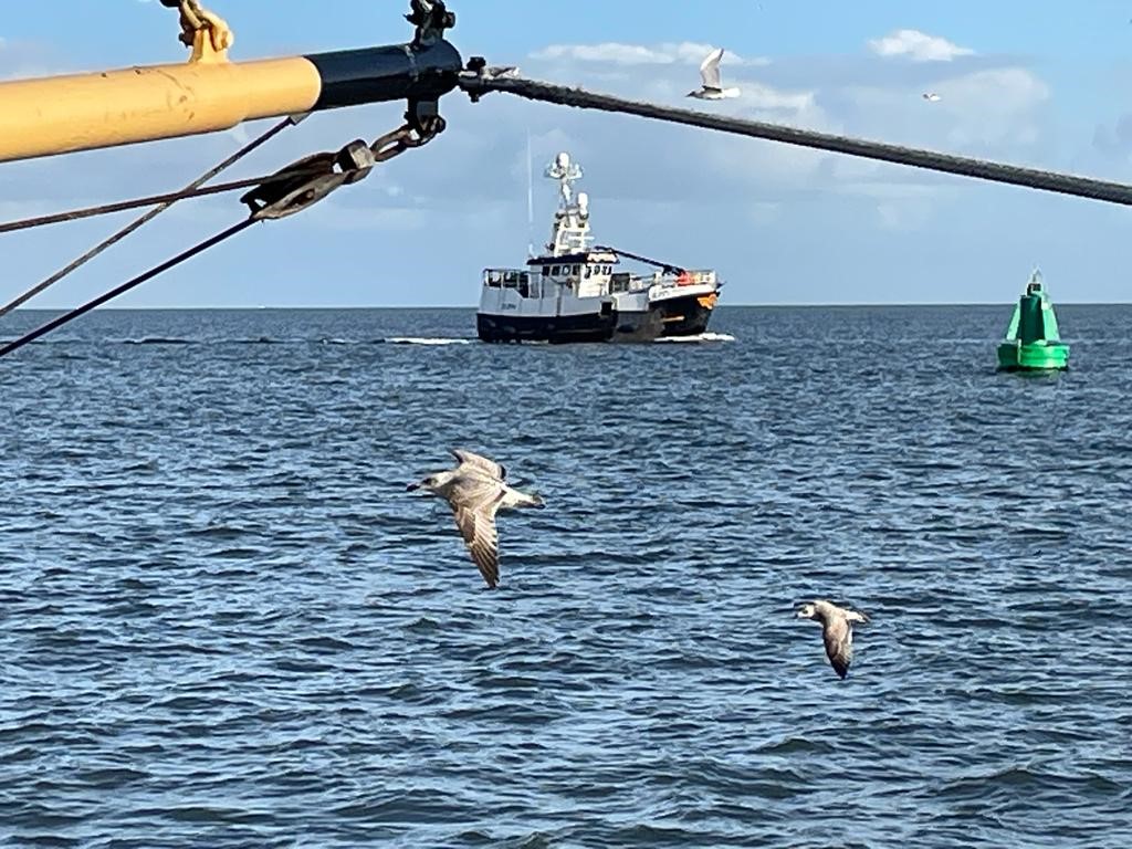 LuytGroep's tweet photo. Mooi beeld van #zee🌊
#Krabbenvisser K-77 'Heather K' (Brown&Bright Shellfish Ltd) passeert op het Wad #Wieringer #garnalenkotter WR-9 'Shrimper'🦐 van Jan Jurie Van Eekelen
K-77 stoomt deze ochtend op naar #DenOever voor #onderhoud in nieuwe #dok #scheepswerf #LUYT🇳🇱
JJ📸👌 https://t.co/RKY0q0BgDb