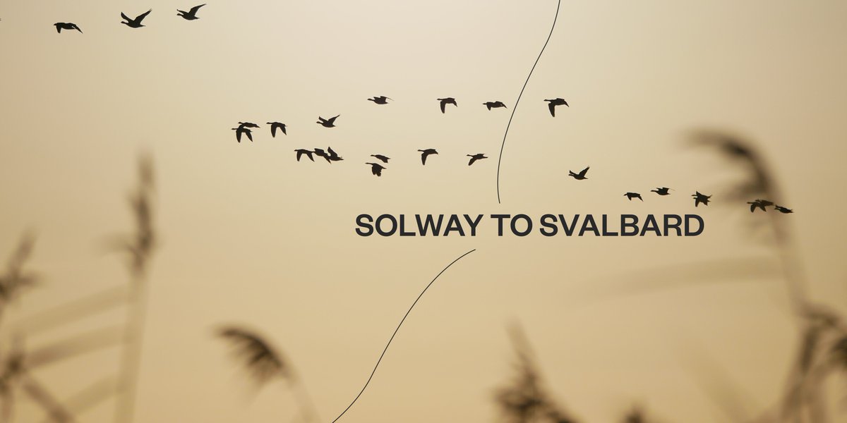 Discover Solway to Svalbard, an immersive, multi-artform piece of theatre combining original music, cinematic visuals, evocative soundscapes, and live storytelling. Find out more here: ow.ly/RTcz50L5MM2
#SolwaytoSvalbard #wildgoosefestival2022 #SISFImagine