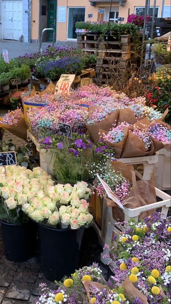 BOOOM HUMANINHOS E SERES DE NÃO HUMANINHOS!! 💜💜💜🤲 /Entrega florzinhas para quem passa.