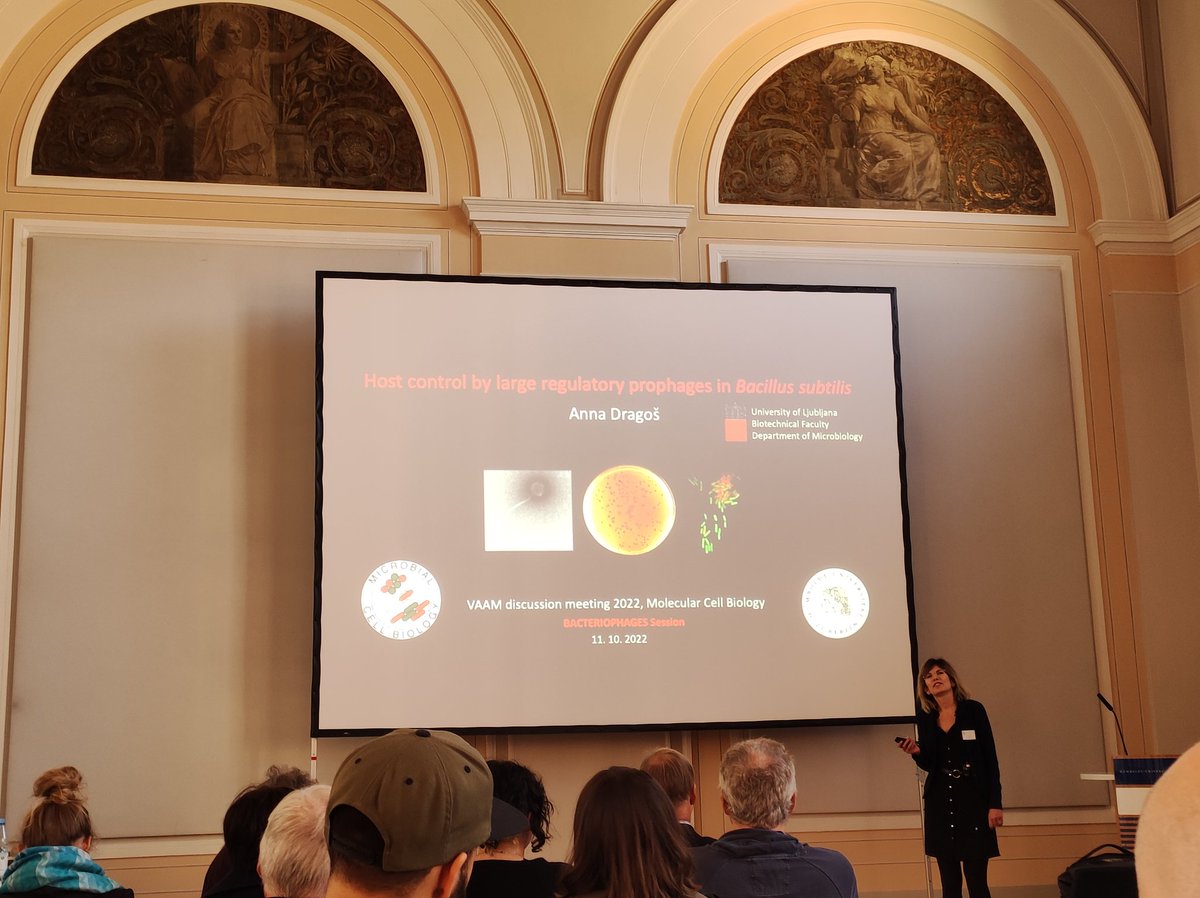 phagefluencer's tweet photo. @Anna_Dragos opens the final session of the #MicrobialCellBiology discussion meeting. Exciting talk about #Bacillus ๐ฆ #phages
#SPbeta
#phagepioneers https://t.co/1pZHSRe3Jg