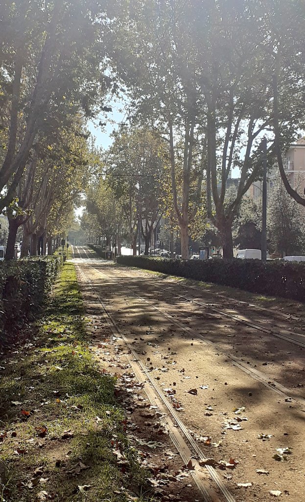 desiana1's tweet photo. Passeggiando verso la quarta ora...
#Gianicolense https://t.co/Mwk4NBSiSR
