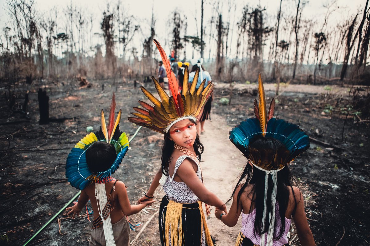 The Times Pictures tweet media