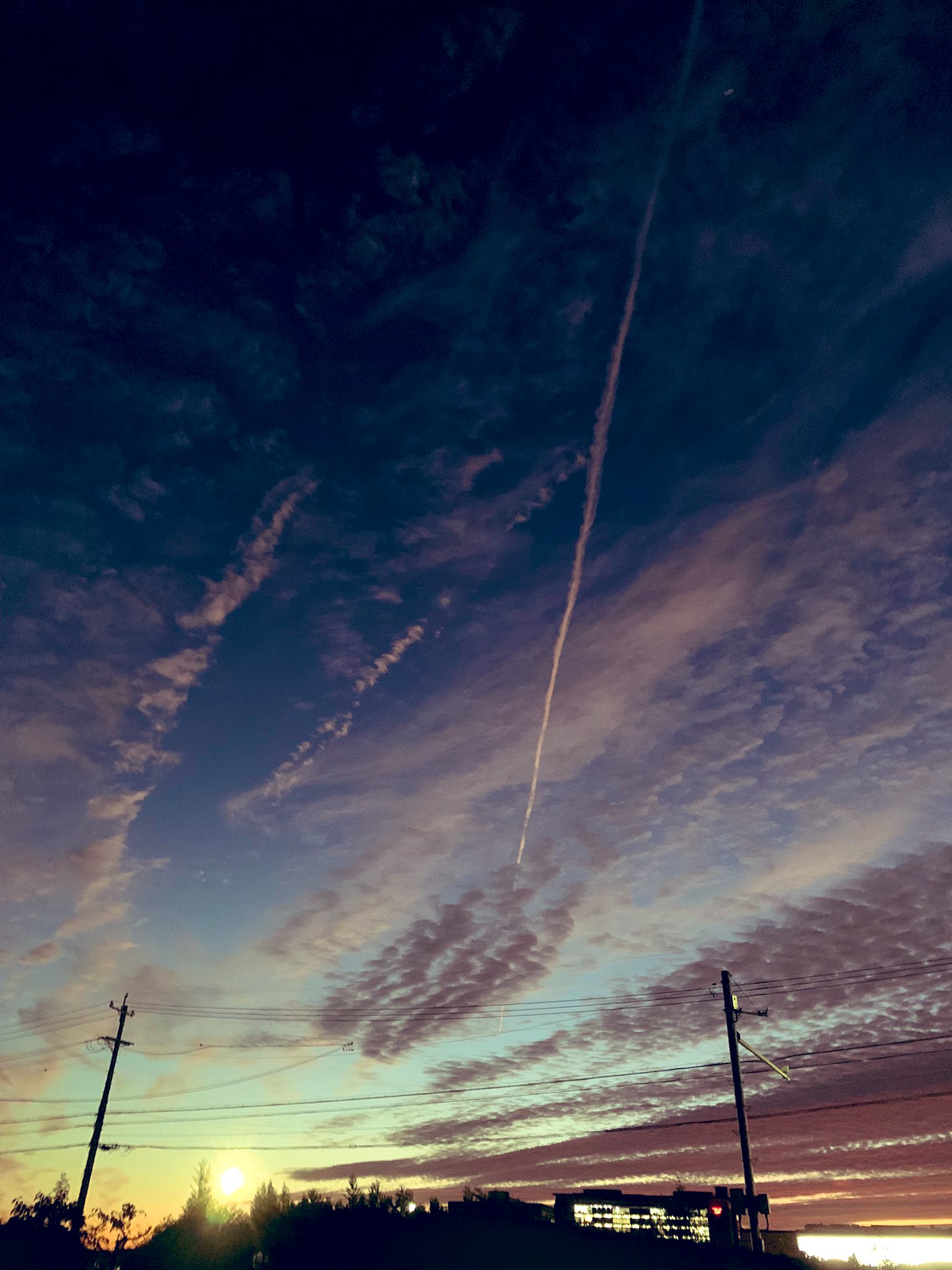 Tweets With Replies By くーちゃん 消えるバグ継続中 Vfq8og7f4blwzxz Twitter