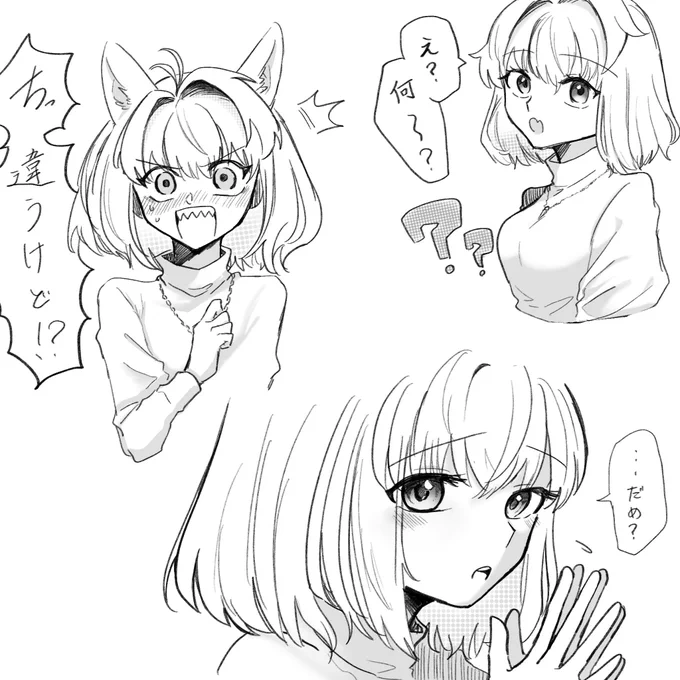 対志貴アルクェイド 