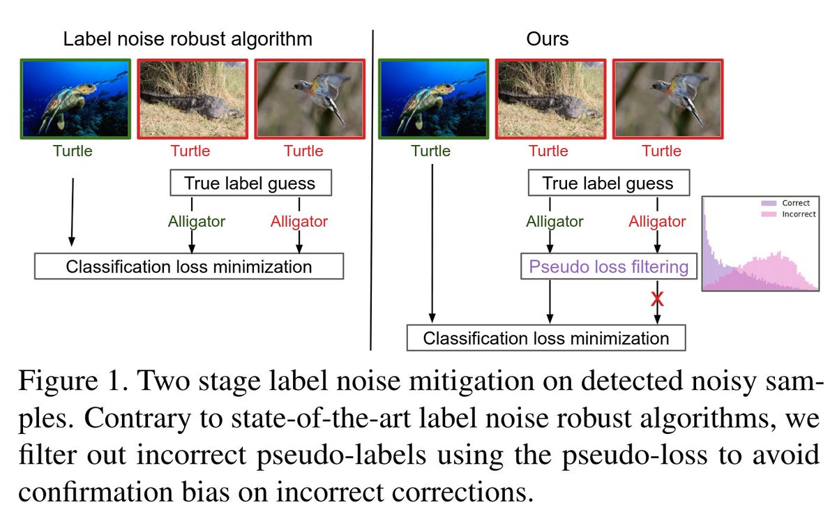 Our paper: "Is your noise correction noisy?
PLS: Robustness to label noise with two stage detection" was accepted at #WACV2023 ! We detect incorrect true label guesses using our pseudo-loss to combat label noise in image classification datasets
arxiv.org/abs/2210.04578