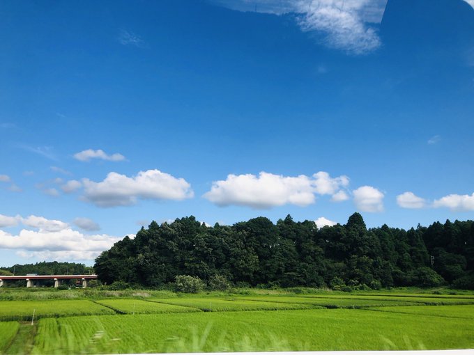 Twitterのコスプレ画像5