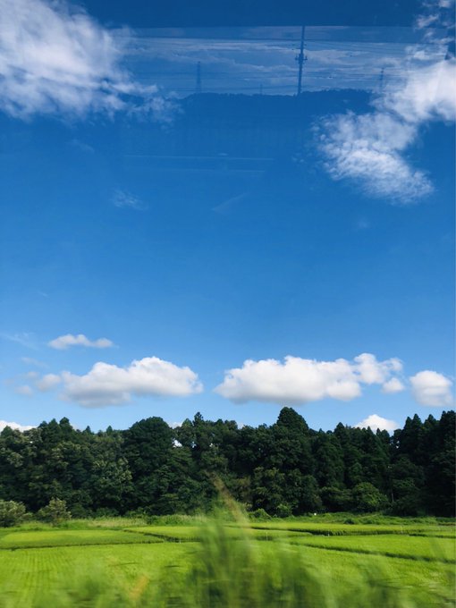 Twitterのコスプレ画像4