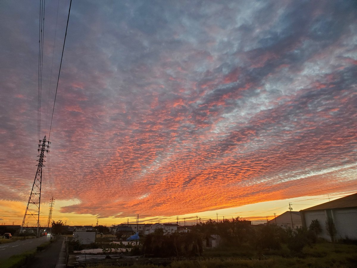 mamihu0829's tweet photo. 小牧市の西の空。なんか一気に秋になっちゃった感じ。厳しい冬までの小休止。今年は秋が長いといいな‼️ https://t.co/tLPphJCn5i