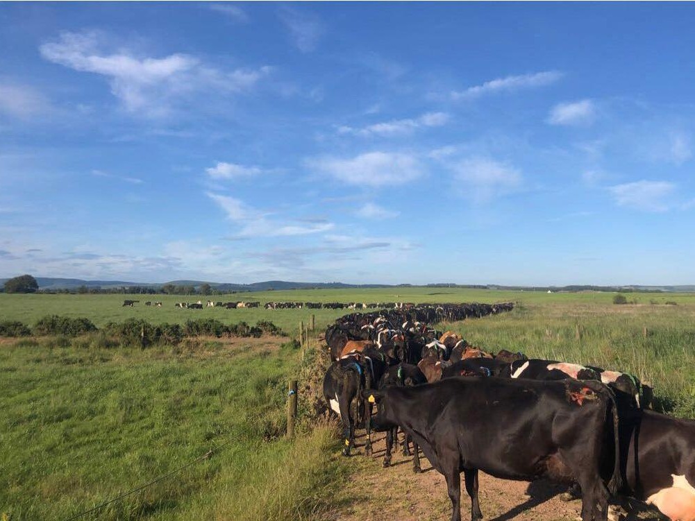 FarmingPartners's tweet photo. This time next week we will be at Newcastle Uniersity Careers Fair, looking forward to meeting the @newcastleuni students for a chat about their future and ours. #FYF22 #nextgeneration #futureoffarming #teamdairy #farmingpartners https://t.co/Vs0ULO8oGi