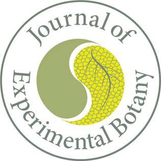 The <a href="/JXBot/">JXB @jxbotany.bsky.social</a>  Series webinar continues with: "How and why do bees buzz? Implications for buzz pollination" presented by the brilliant Mario Vallejo-Marínon (<a href="/nicrodemo/">Mario Vallejo-Marin</a>) 19 October (1pm – 1.45pm) 

Book now your FREE place:
sebiology.org/events/jxb-ser…