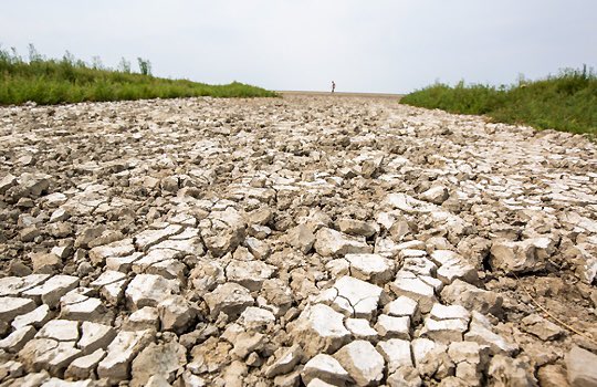 Deltacommissaris (DC) tweet media