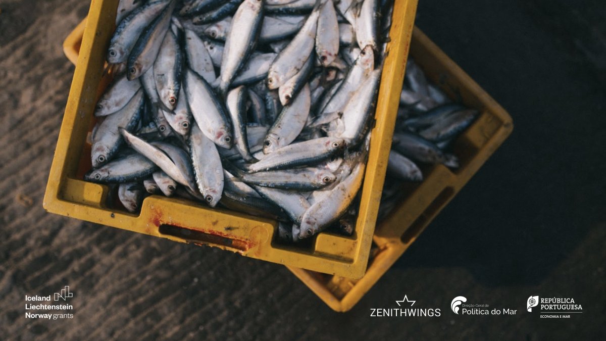 Zenithwings (@zenithwings) on Twitter photo 💡 Who can benefit from the #SmartBlueChain solution?
➡ #Certifiers:
- Access to a marketplace of companies who wish to certify their products;
➡ Discover more here: lnkd.in/dDQtxJS3
<a href="/DGPM_Portugal/">DGPM_Portugal</a>
<a href="/EEANorwayGrants/">EEA and Norway Grants</a>
<a href="/EEAGrantsPT/">EEA Grants Portugal</a>
#EEAGrants #EEAGrantsPT #EEANorwayGrants 💡 Who can benefit from the #SmartBlueChain solution?
➡ #Certifiers:
- Access to a marketplace of companies who wish to certify their products;
➡ Discover more here: lnkd.in/dDQtxJS3
<a href="/DGPM_Portugal/">DGPM_Portugal</a>
<a href="/EEANorwayGrants/">EEA and Norway Grants</a>
<a href="/EEAGrantsPT/">EEA Grants Portugal</a>
#EEAGrants #EEAGrantsPT #EEANorwayGrants