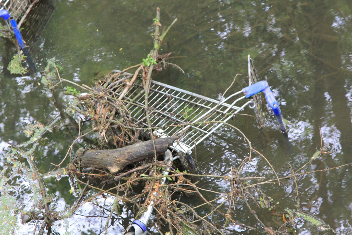 Trolleywise's tweet image. With Halloween approaching, we thought we would share some scary locations we have found trolleys…