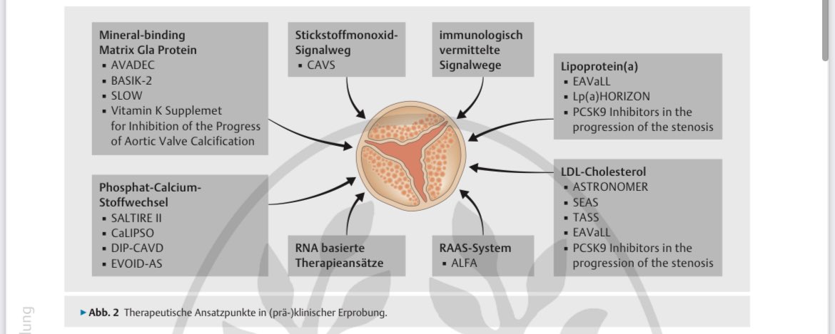 Was birgt die Zukunft für die Therapie der Aortenklappenstenose - jenseits von #TAVR und #SAVR? 🫀💊#BasicScience

Mehr in #AktuelleKardiologie 🗞️
@PhilipGoody @ThiemeGruppe 

#DGK_Basic 

eref.thieme.de/ejournals/2193…