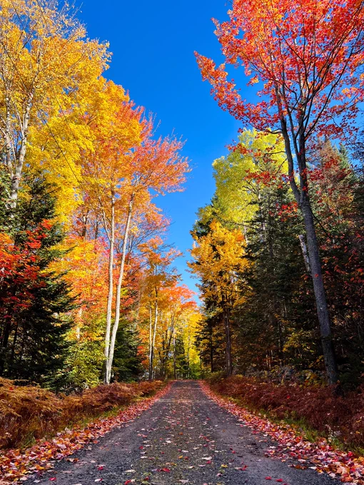 Fall colors in New England, USA