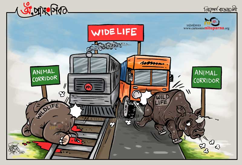 NituparnaRaj's tweet photo. #wildlife #savewildlife #animalcorridor #Assam https://t.co/Jxpbr9dJES https://t.co/y5InA9Ewko
