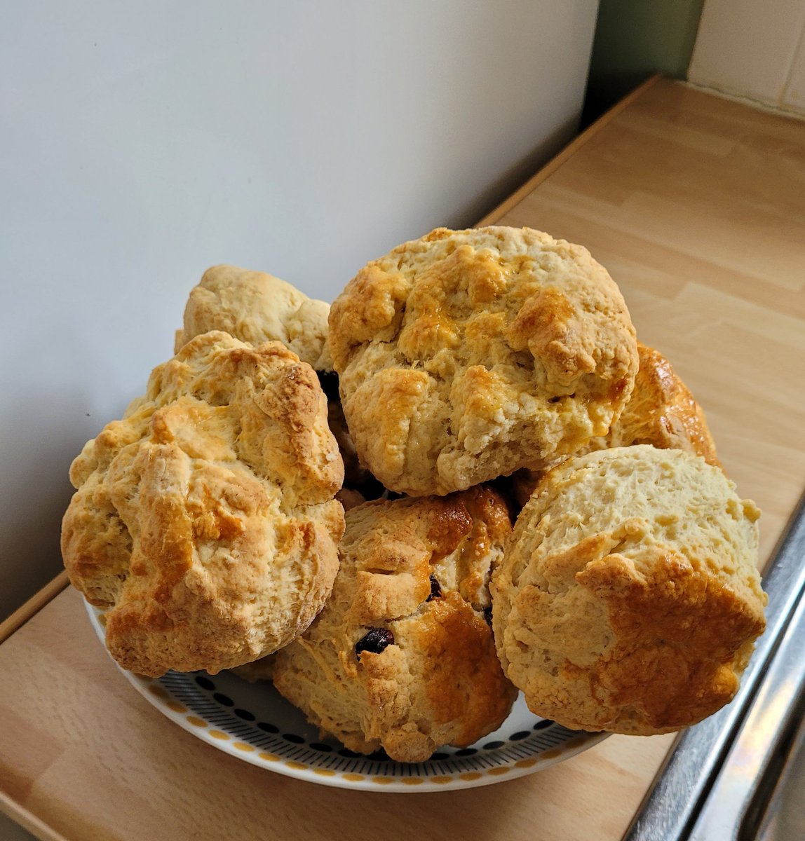 (((Sigourney B))) 🐹🐓 on Twitter: 