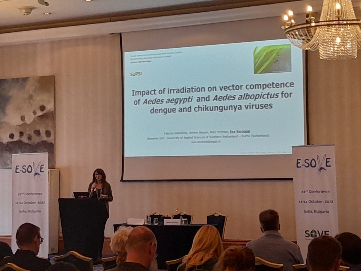 Eva Veronesi (@veronesieva) on Twitter photo Very happy to finally attend the <a href="/EuropeanSOVE/">ESOVE</a> and present the impact of irradiation <a href="/iaeaorg/">IAEA - International Atomic Energy Agency ⚛️</a> <a href="/bouyer_jeremy/">Jérémy Bouyer</a> on 🦟 vector competence for #dengue and #chikungunya viruses 🦠
#Aedes #albopictus #aegypti #SIT Very happy to finally attend the <a href="/EuropeanSOVE/">ESOVE</a> and present the impact of irradiation <a href="/iaeaorg/">IAEA - International Atomic Energy Agency ⚛️</a> <a href="/bouyer_jeremy/">Jérémy Bouyer</a> on 🦟 vector competence for #dengue and #chikungunya viruses 🦠
#Aedes #albopictus #aegypti #SIT