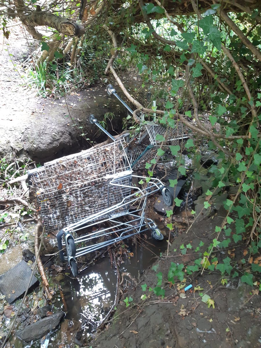 Trolleywise's tweet image. With Halloween approaching, we thought we would share some scary locations we have found trolleys…