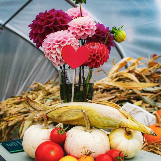 DMS_JHG_SW's tweet photo. On 7 Oct, personnel attended the launch of @GrownThatWay, celebrating a new partnership to build &amp; benefit mental resilience through horticulture focusing on food, flowers, medicine &amp; textiles whilst also conducting community outreach activities. @DMS_ComdJHG @ClareWaltonRAF https://t.co/jcIU5WdPZ1