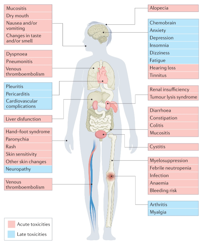 NatRevClinOncol's tweet photo. In a Review now online, @NicoleKuderer, @ADesaiMD, @maryam_lustberg and @gary_lyman explain the most common acute toxicities in patients with cancer receiving chemotherapy and discuss management options: https://t.co/WUcOXGTJ8I https://t.co/Brlnn1M34X